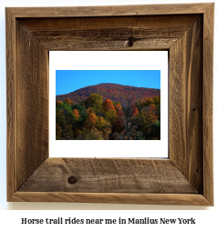 horse trail rides near me in Manlius, New York